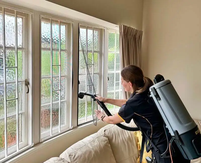 window cleaning services merivale
